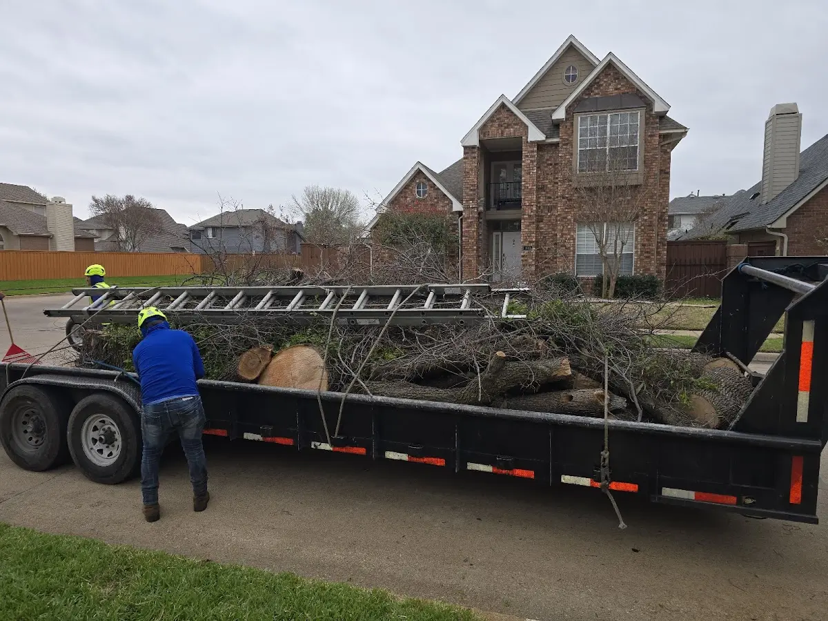 Expert Tree Removal with proper safety equipment in Elmore
